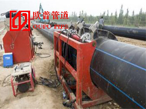 �����Lɳ�гǽ�����